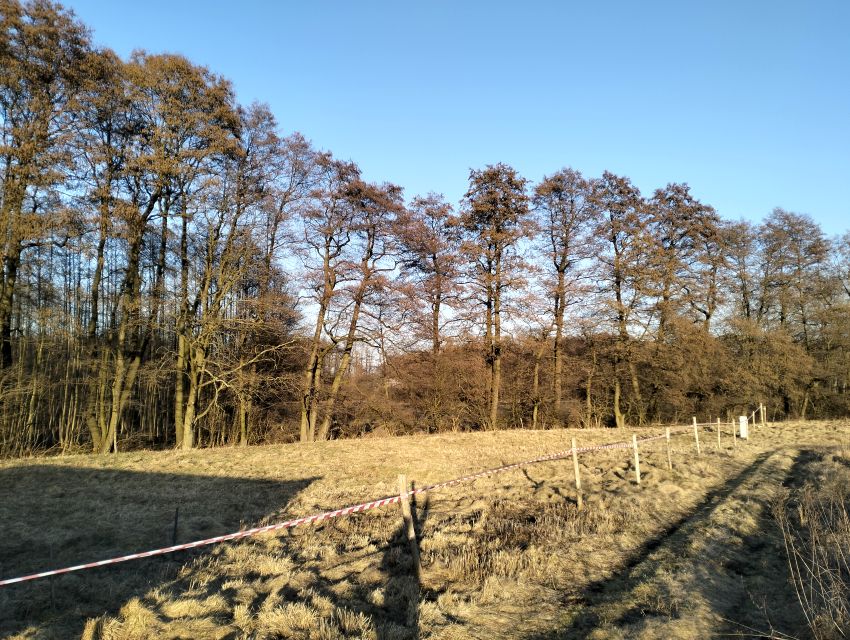 Działka budowlana Miroszowice