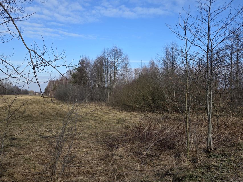 Działka siedliskowa Sowia Wola