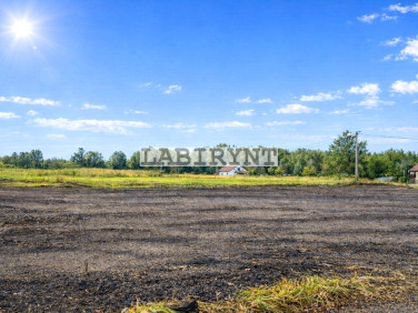 Działka budowlana Kamienica Polska