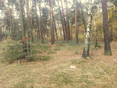 Działka budowlana sprzedam