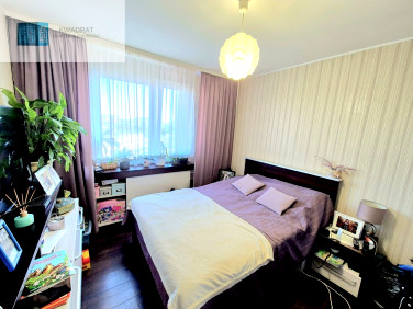 Mieszkanie przy lesie