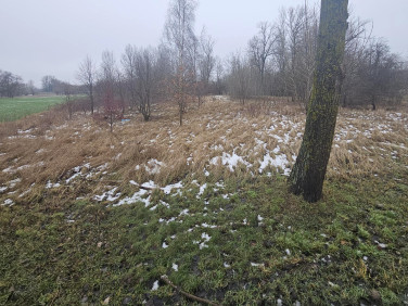 Działka budowlana Nowa Mała Wieś