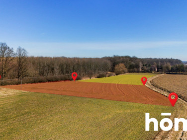 Działka Wola Batorska