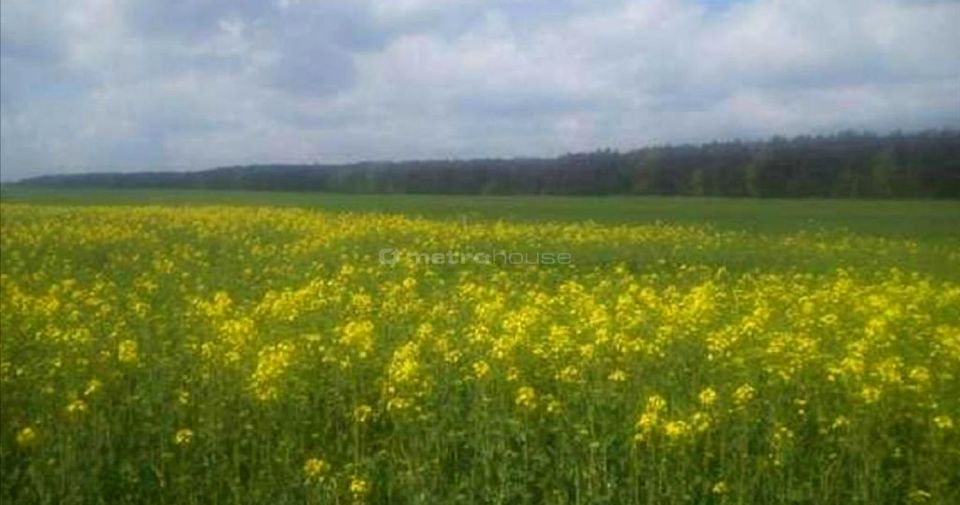 Działka nad jeziorem