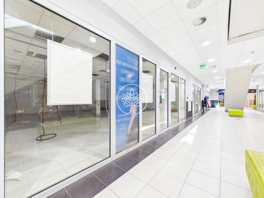 Lokal Osielsko wynajem