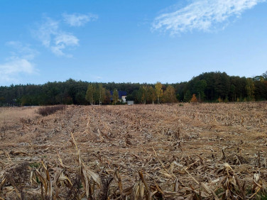 Działka budowlana Karczów