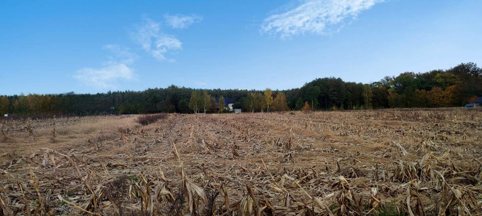 Działka budowlana Karczów