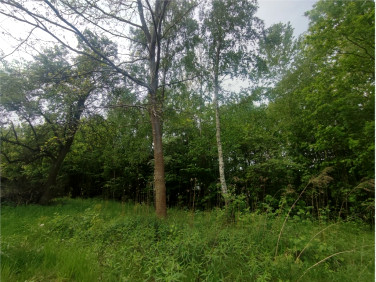 Działka budowlana sprzedam