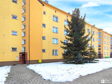 Mieszkanie Siemianowice Śląskie