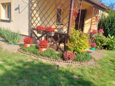 Działka rekreacyjna Załucze