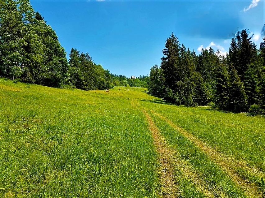 Działka rolna sprzedam