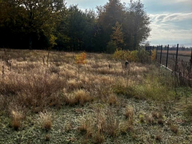 Działka budowlana Dachowa