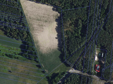 Działka rolna Młodzieszyn