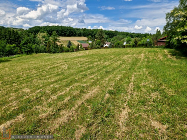 Działka rolna Więcławice Dworskie