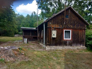 Działka siedliskowa Popielarnia