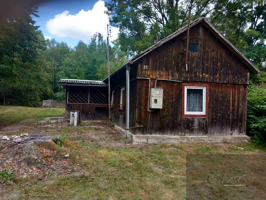 Działka siedliskowa Popielarnia