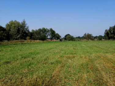 Działka budowlana Łęgi