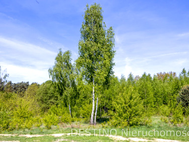 Działka budowlana Emilianów