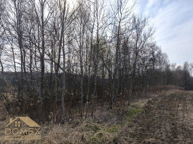 Działka inwestycyjna Wodzisław Śląski