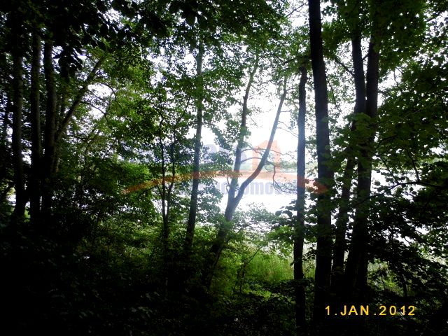 Działka rolna Zabierzewo