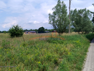 Działka siedliskowa Łęgi