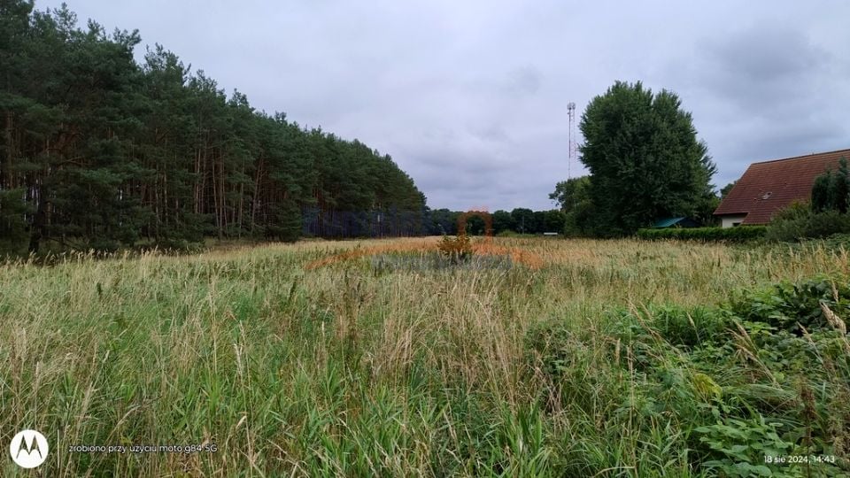 Zdjęcie 2
