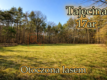 Działka budowlana Tajęcina