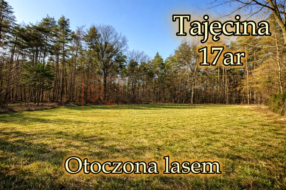 Działka budowlana Tajęcina