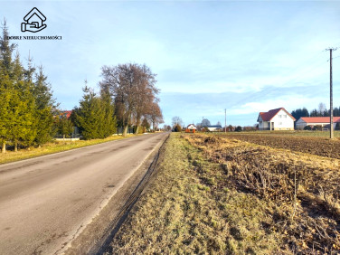 Działka budowlana Palikije Drugie