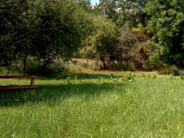 Działka inwestycyjna Dębina