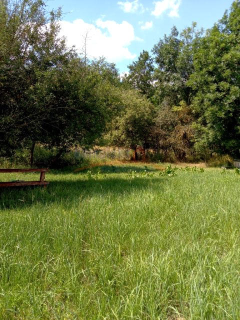 Działka inwestycyjna Dębina