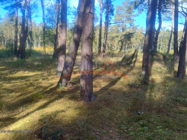 Działka budowlana Dziwnów