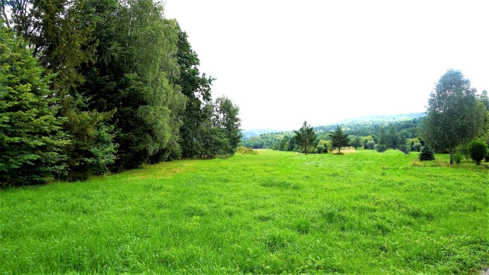 Działka budowlana Męcina Wielka