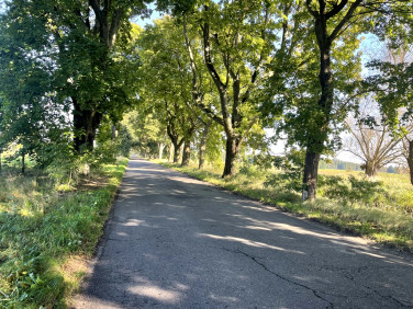 Działka budowlana sprzedam