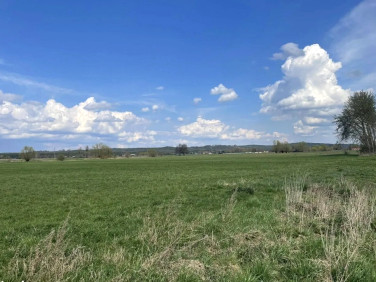 Działka budowlana Pyrzany