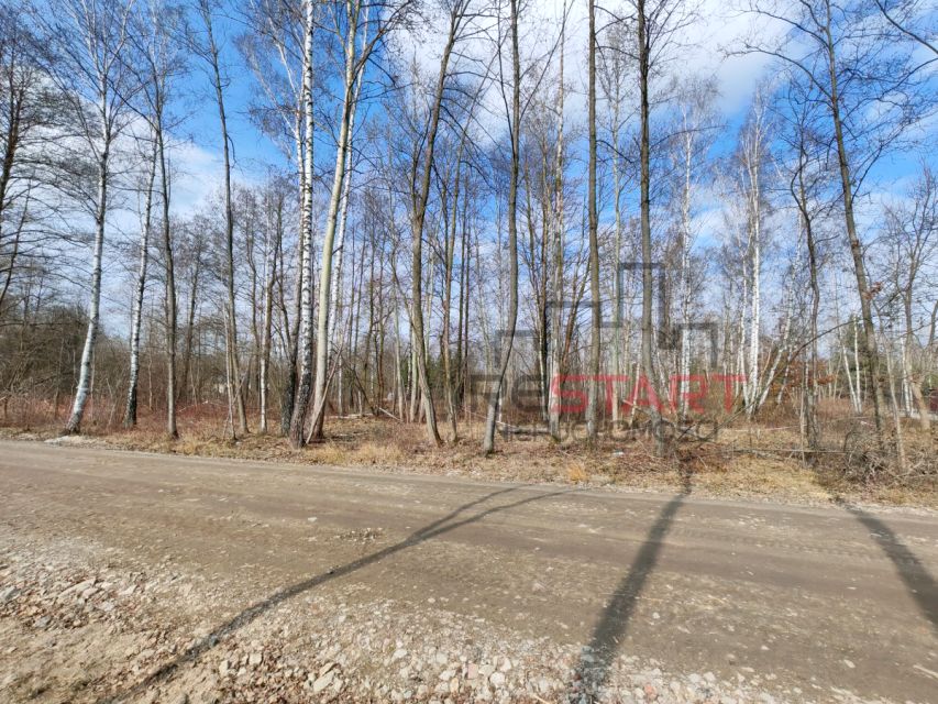 Działka Czarny Las