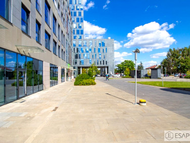 Lokal Lublin wynajem