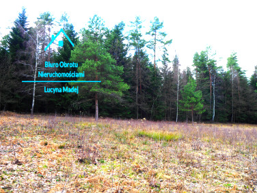 Działka budowlano-rolna Wysoka