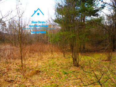 Działka budowlana Wysoka