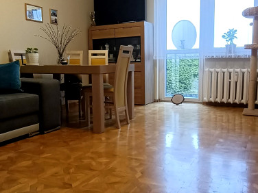 Mieszkanie Polkowice