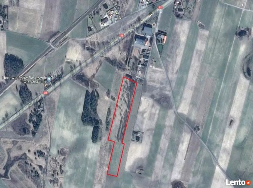 Działka budowlano-rolna Łąg