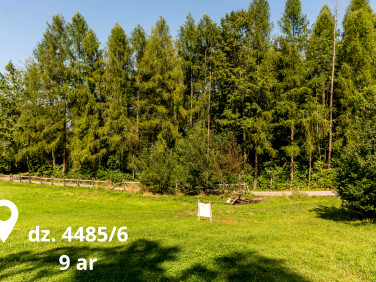 Działka przy lesie