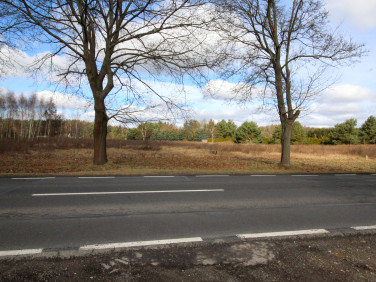 Działka budowlana Różanki