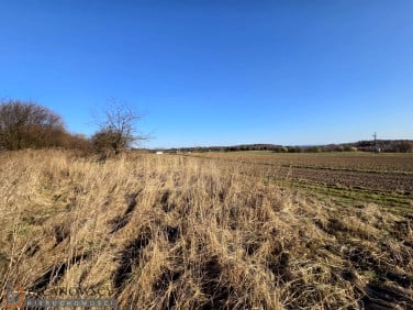 Działka budowlana Rzeplin