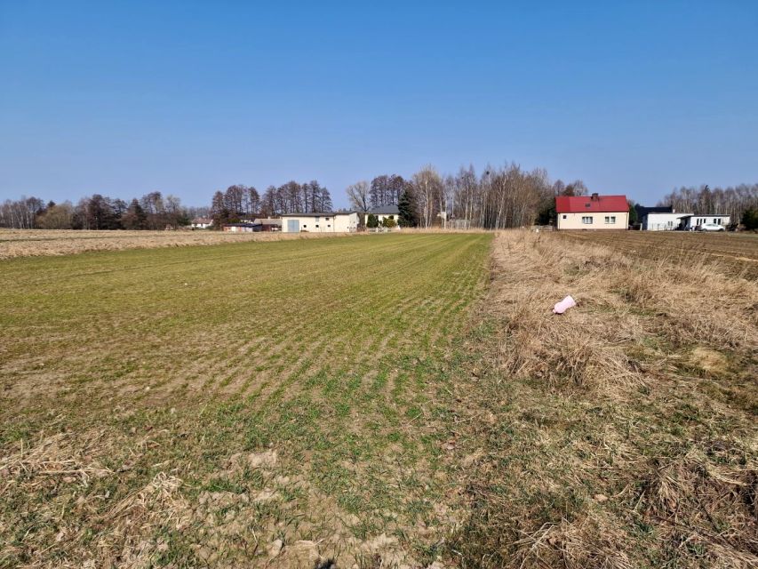 Działka budowlana Kalisz sprzedam