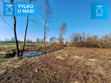 Działka usługowa Cisy