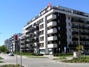 Lokal Warszawa