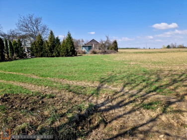 Działka budowlana Celiny