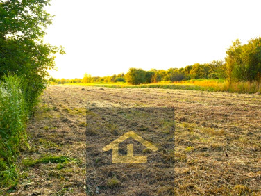 Działka rolna Nadbrzeż