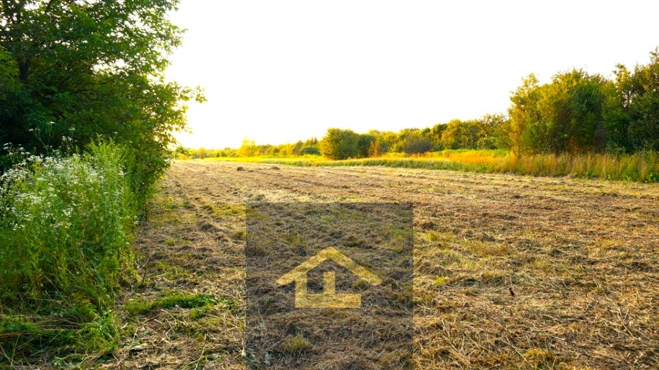 Działka rolna Nadbrzeż